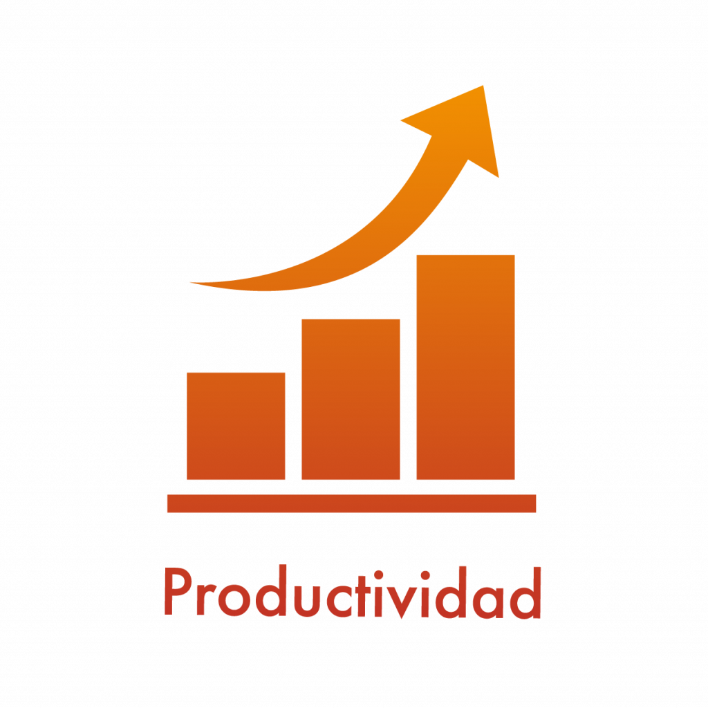 productividad 1 RDS México
